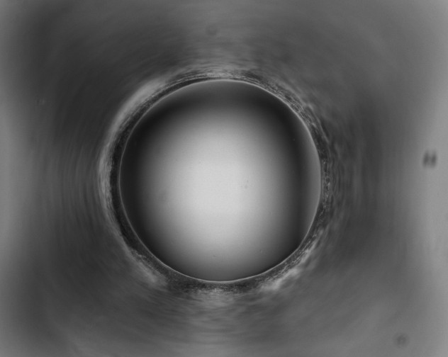 X0000103320197200809051154