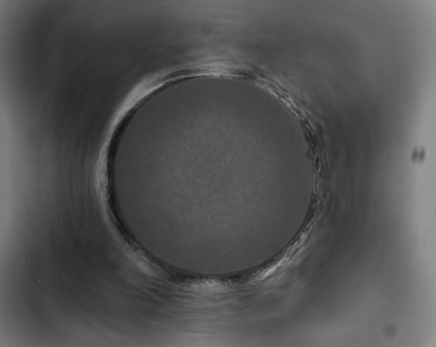 X0000103320198200809051154