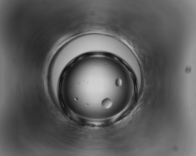 X0000103320199200809051154