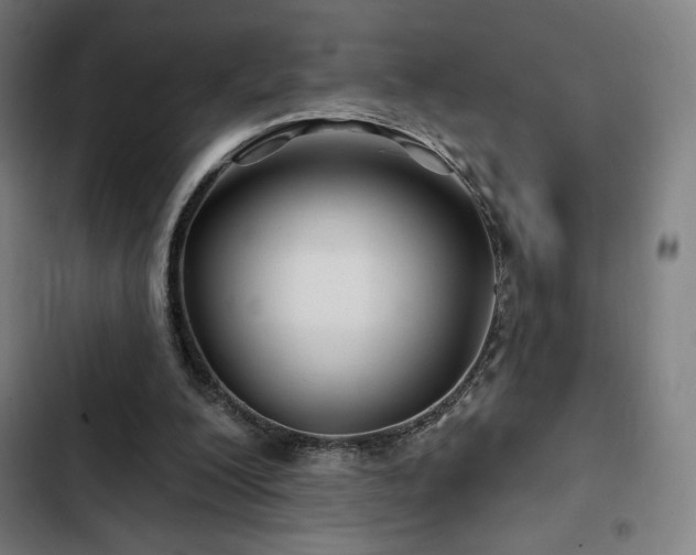 X0000103320200200809051154