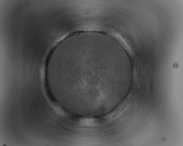 X0000103320202200809051154