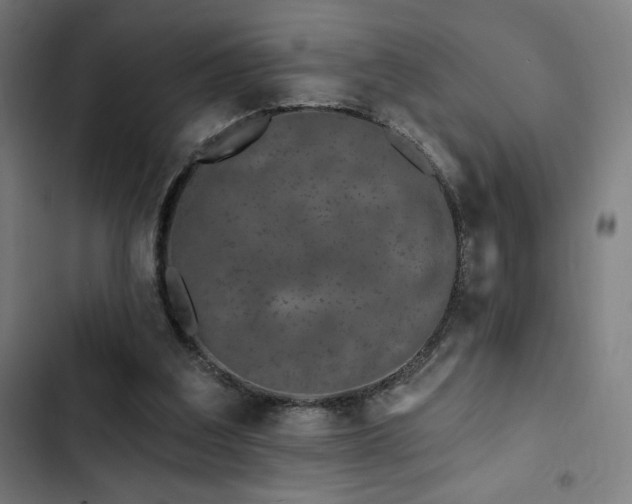 X0000103320203200809051154