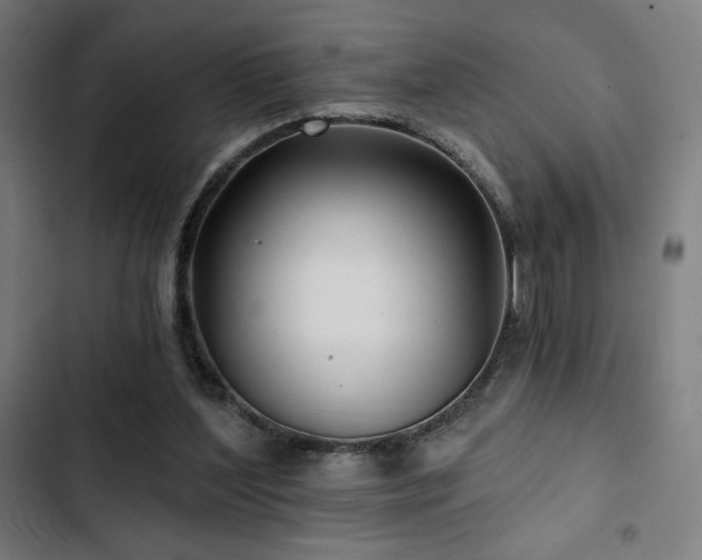 X0000103320204200809051154