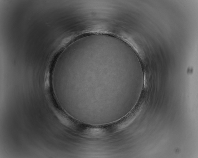 X0000103320205200809051154