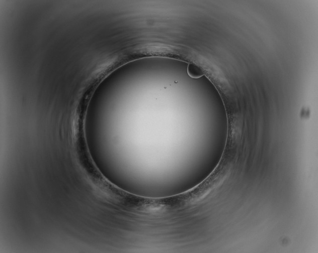 X0000103320206200809051154