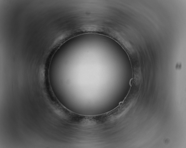 X0000103320207200809051154