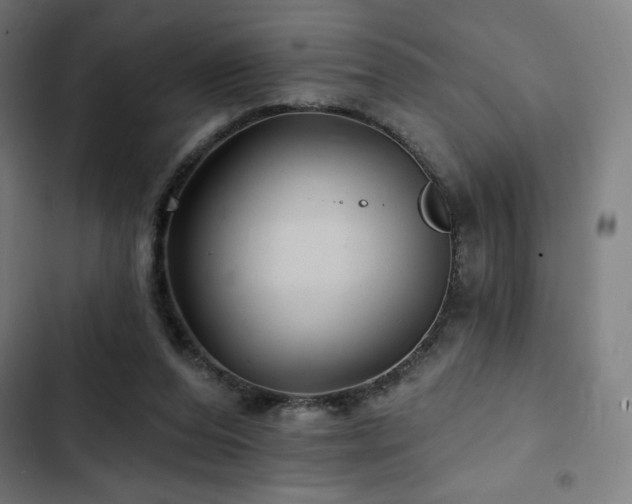 X0000103320208200809051154