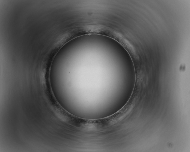 X0000103320209200809051154