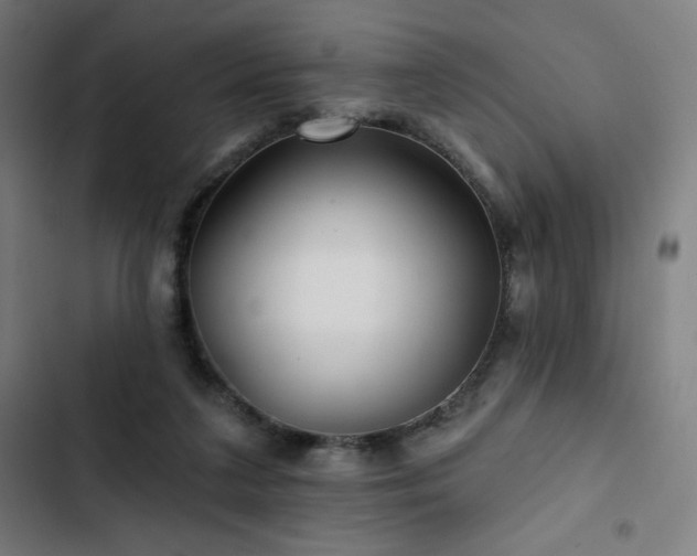 X0000103320211200809051154