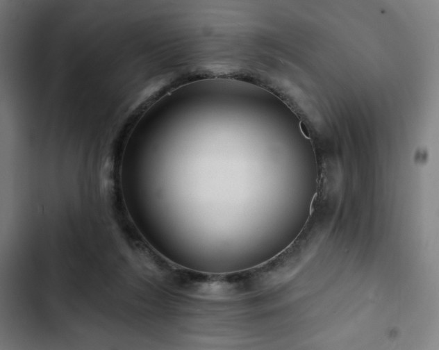 X0000103320212200809051154