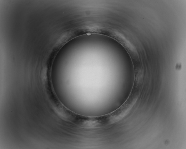 X0000103320213200809051154