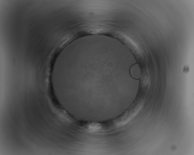 X0000103320214200809051154