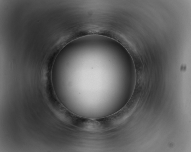 X0000103320215200809051154