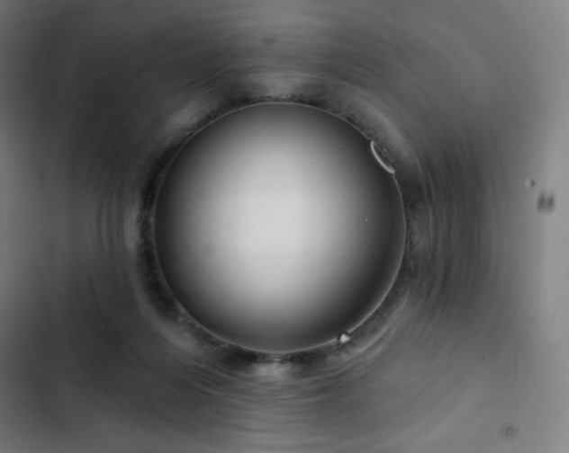 X0000103320216200809051154