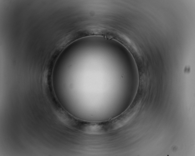 X0000103320217200809051154