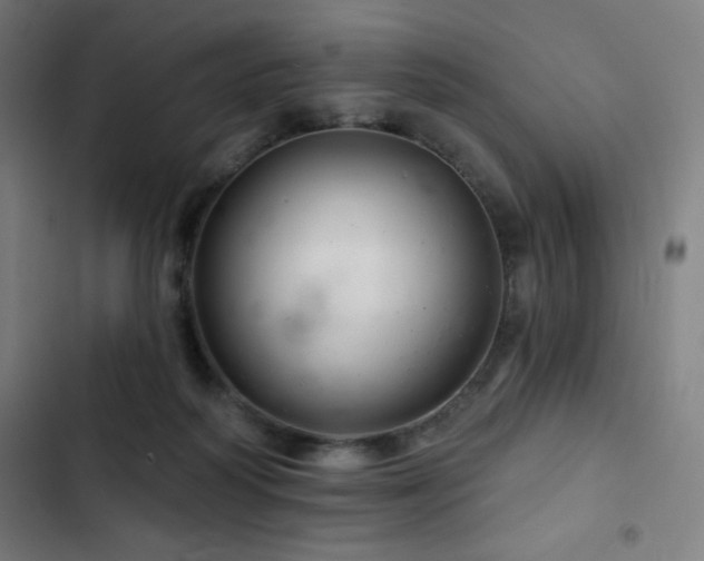 X0000103320218200809051154