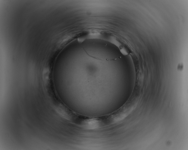 X0000103320219200809051154