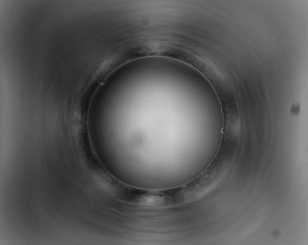 X0000103320220200809051154