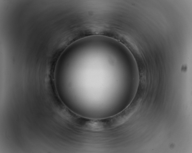 X0000103320221200809051154