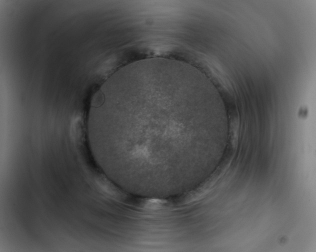 X0000103320222200809051154