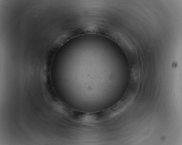 X0000103320223200809051154