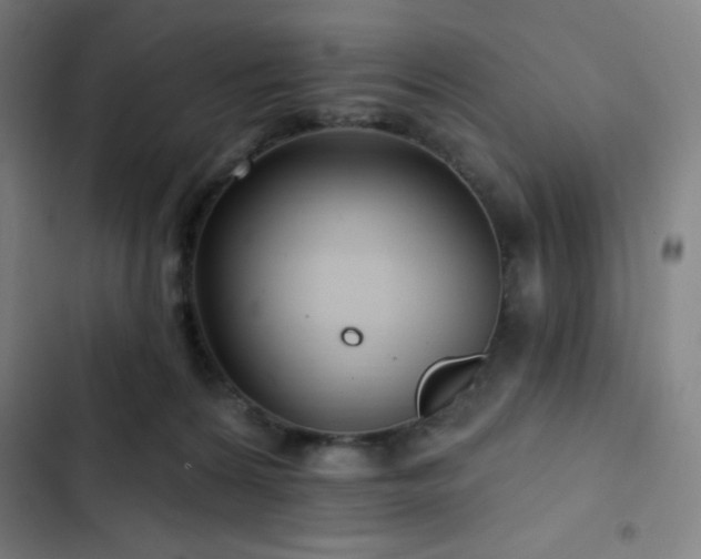 X0000103320224200809051154