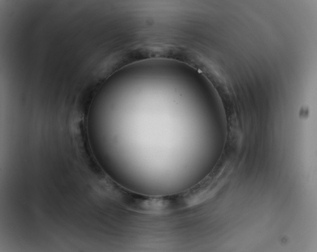 X0000103320225200809051154