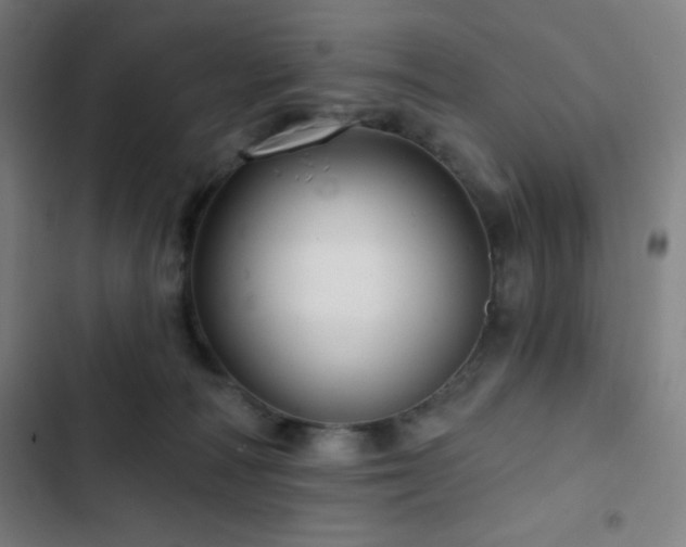 X0000103320226200809051154