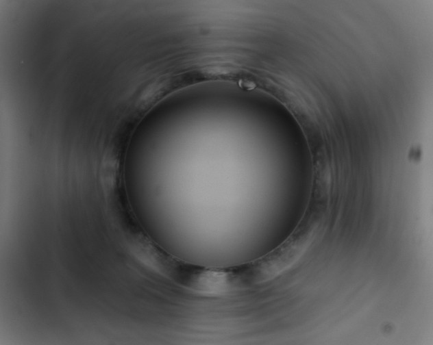 X0000103320227200809051154