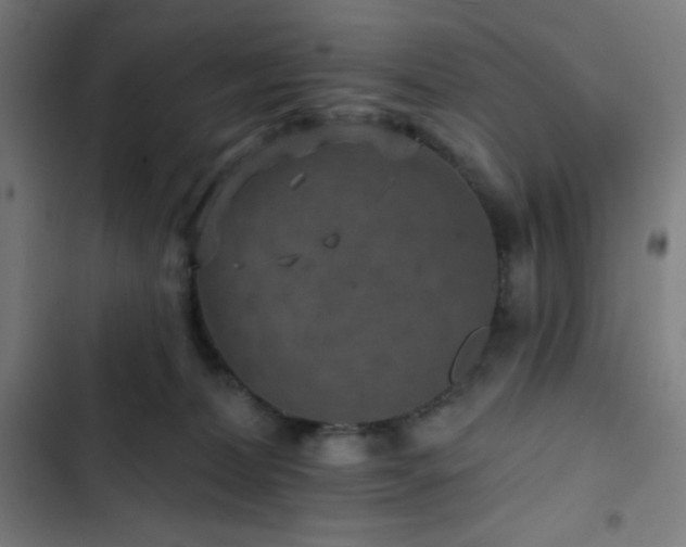 X0000103320228200809051154