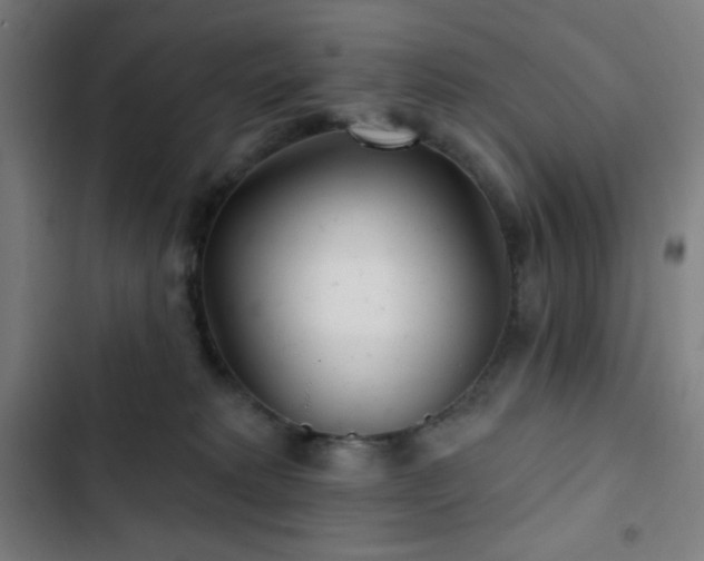 X0000103320229200809051154