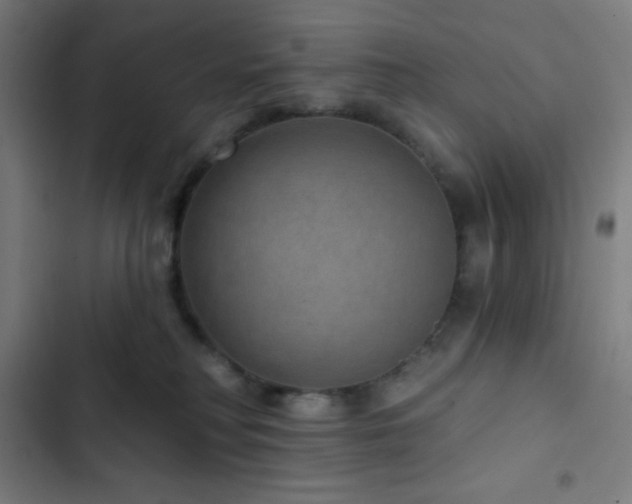 X0000103320230200809051154