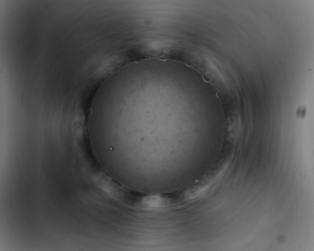 X0000103320231200809051154