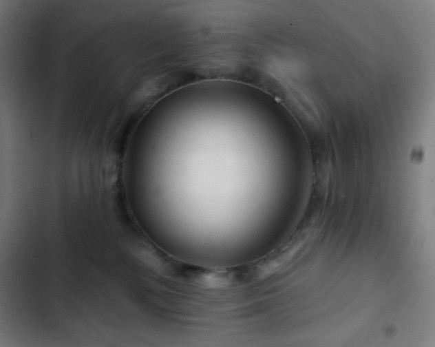 X0000103320232200809051154