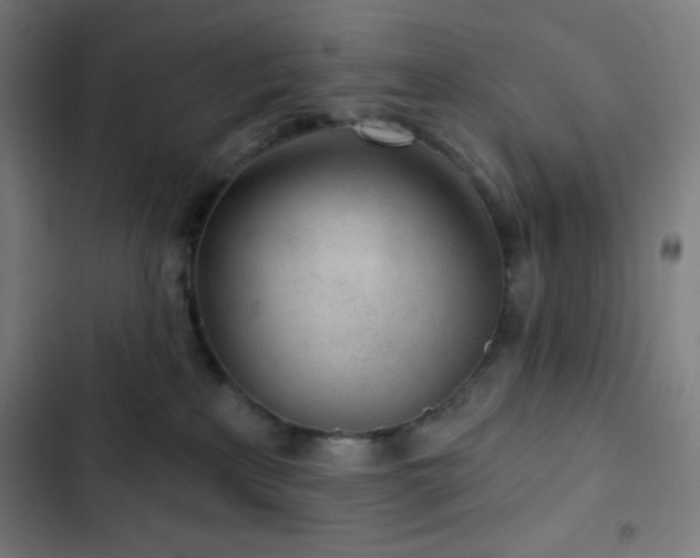 X0000103320233200809051154