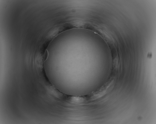 X0000103320234200809051154