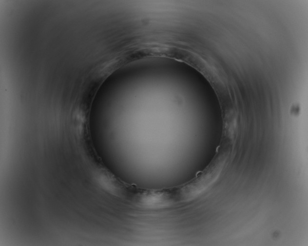 X0000103320235200809051154