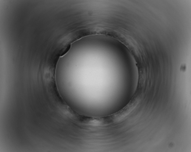 X0000103320236200809051154