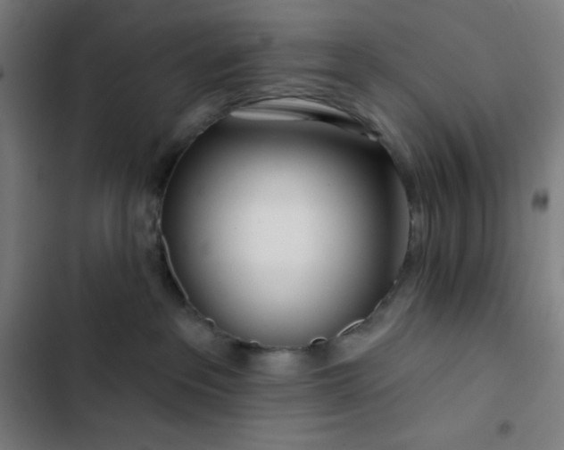 X0000103320237200809051154