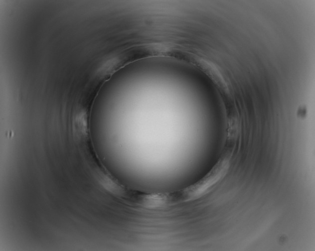 X0000103320238200809051154