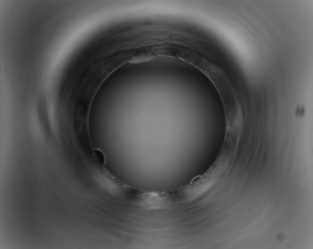 X0000103320239200809051154