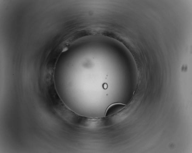 X0000103320240200809051154