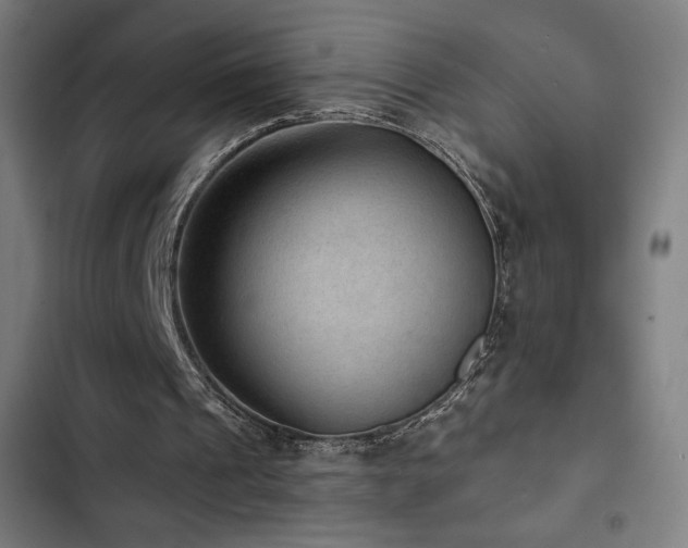 X0000103320241200809051153