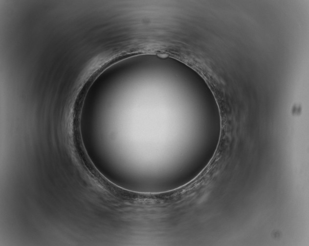 X0000103320242200809051153