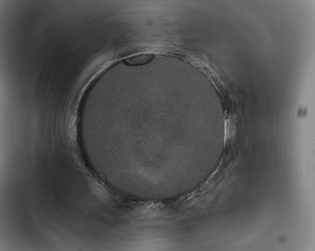 X0000103320243200809051153