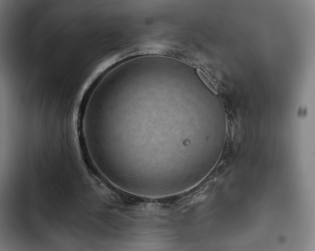 X0000103320244200809051153