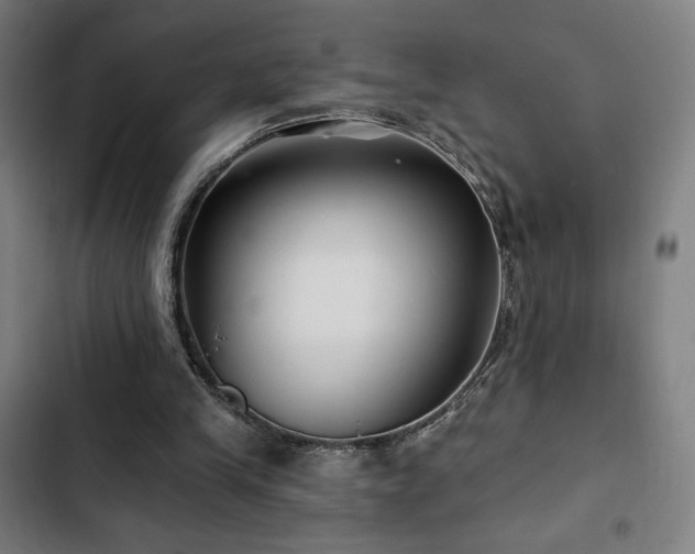 X0000103320245200809051153