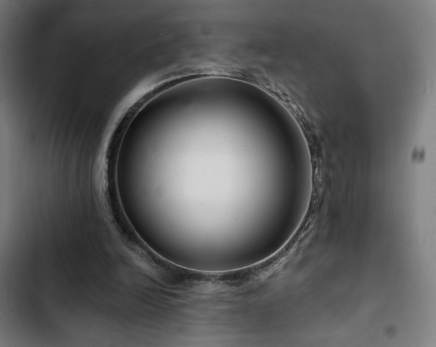 X0000103320246200809051153