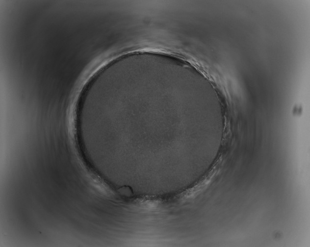 X0000103320247200809051153