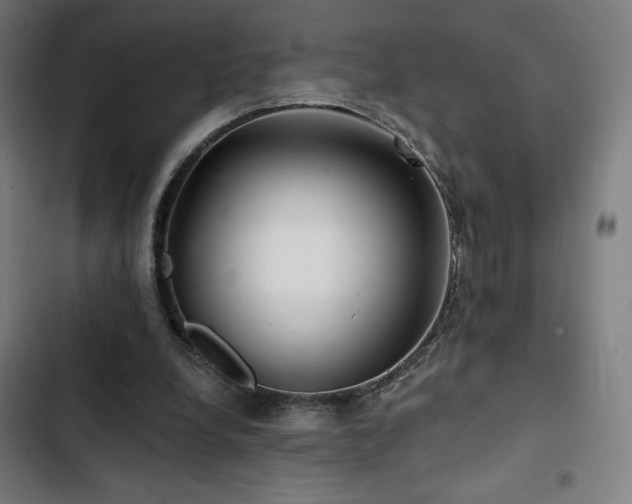 X0000103320248200809051153